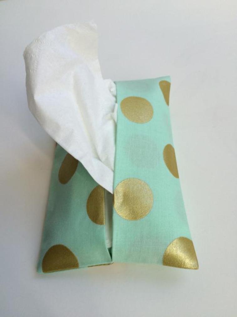 Tissue Pouch Tutorial