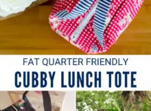 Chubby Lunch Tote Free Sewing Pattern