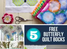 5 Free Butterfly Quilt Block Sewing Patterns