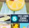 5 Free Lemon Sewing Tutorials