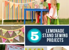 Lemonade Stand Sewing Ideas